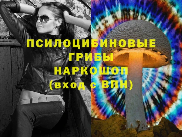 соль ск Верхний Тагил