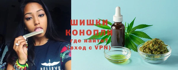 соль ск Верхний Тагил