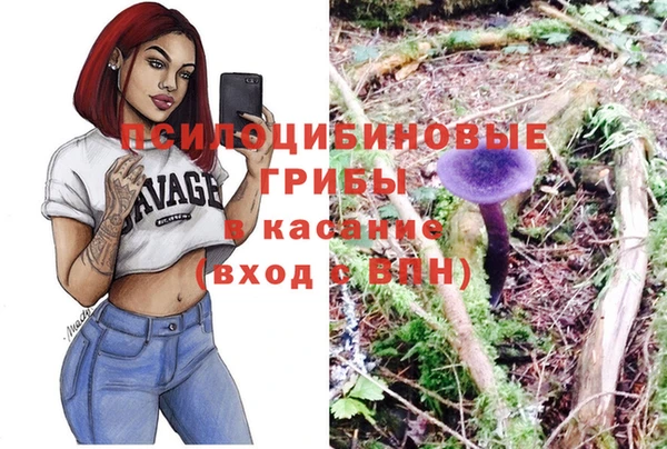 таблы Верея