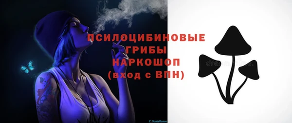 соль курить ск Бородино