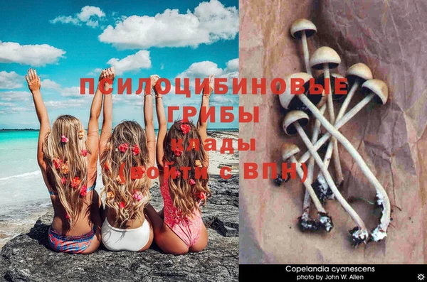дурь Болхов