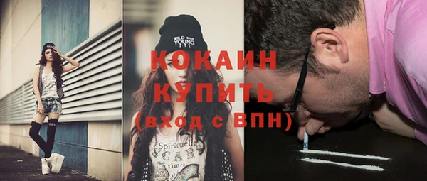 сатива Болотное